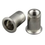 T-Nut - Head Type: Flanged with Prongs | Bharat Industrial Fasteners
